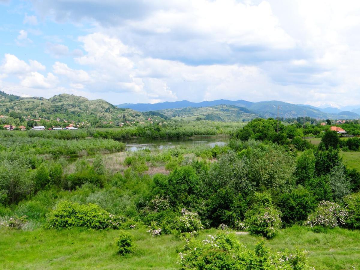 Pensiunea Lacul Albesti Albestii Paminteni Ngoại thất bức ảnh
