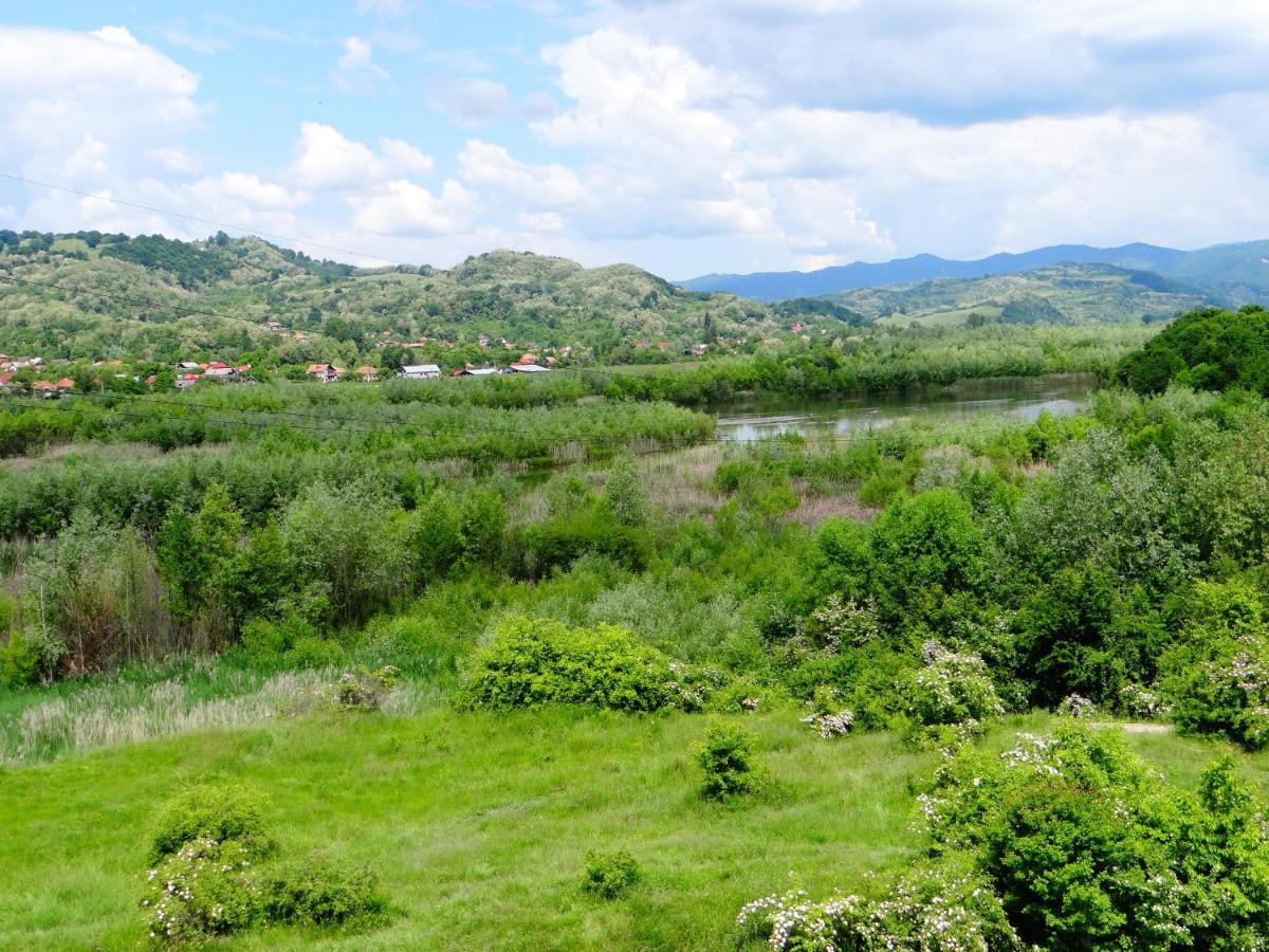 Pensiunea Lacul Albesti Albestii Paminteni Ngoại thất bức ảnh