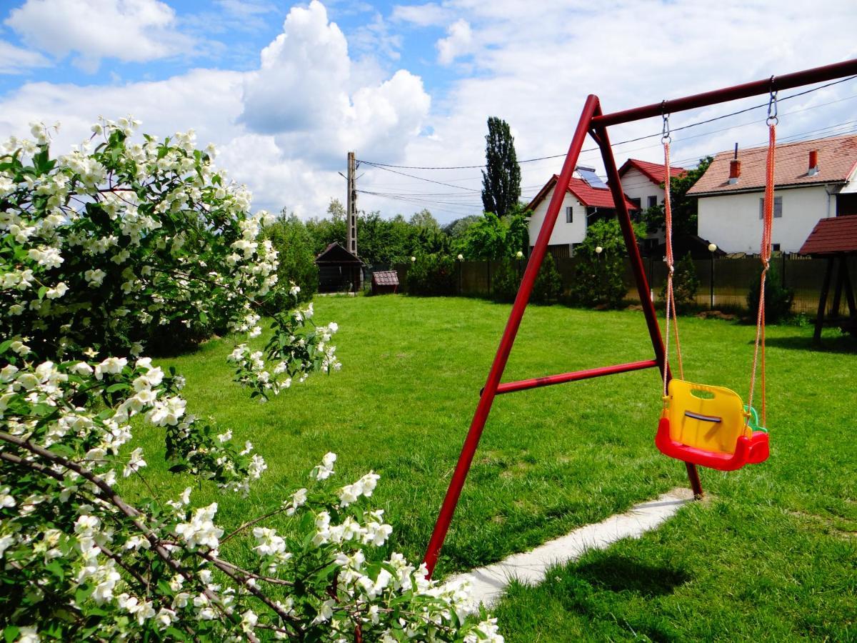 Pensiunea Lacul Albesti Albestii Paminteni Ngoại thất bức ảnh
